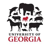 Large Animal Medicine at t Logo